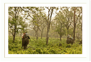 Siliguri