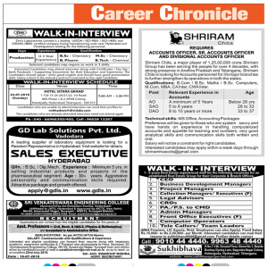 Career Chronicle